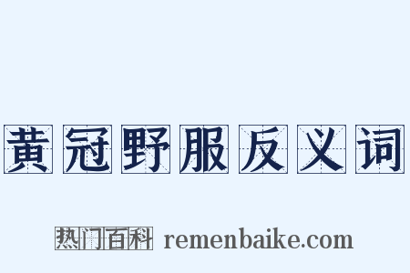 黄冠野服反义词是什么意思的图片